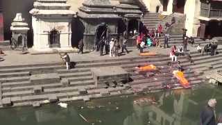 Pashupatinath Temple  Kathmandu Nepal [upl. by Cid891]