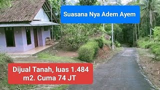 Suasana kampung Campaka Adem Ayem Ada Tanah Yang Mau Dijual Depan Rumah Pak Saeful [upl. by Soulier]