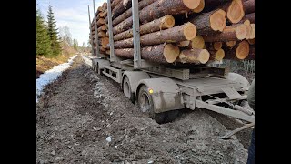 Log Trucking  Lets get stuck in mud [upl. by Yesteb]