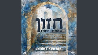 Chazon  חזון Acapella [upl. by Hollander714]