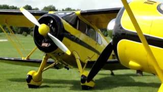 Fun Flying Cabin Wacos at the Poplar Grove Airport [upl. by Aicekan284]