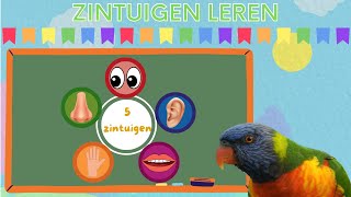 Zintuigen Leren ☆ Leer de 5 Zintuigen ☆ Educatieve Nederlandse Kinderfilmpje voor Peuter en Kleuters [upl. by Giffy893]