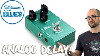 Caline Blue Ocean Analog Delay Pedal Demo [upl. by Malvia]