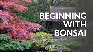 Beginning with Bonsai [upl. by Vola]