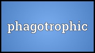 Phagotrophic Meaning [upl. by Twelve]