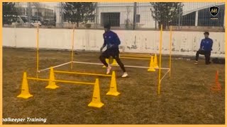 Professional Goalkeeper Training [upl. by Richardson666]