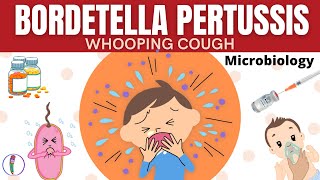 Whooping cough  Bordetella pertussis  All you need to know [upl. by Danica]