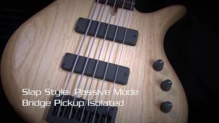 Bass Club Chicago Demo  Elrick Expat Evolution 5 [upl. by Anolahs]