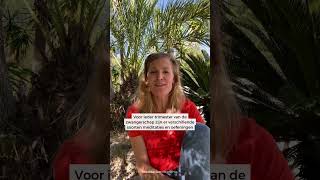 Probeer de nieuwe zwangerschapsmeditaties met Jody Kienhuis nu in de Meditation Moments app 🧡 [upl. by Meave696]