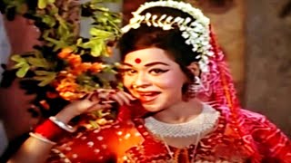 Gulnar Begum  Ay Zama Khwara Kismata [upl. by Onimixam330]