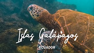 LAS ISLAS GALÁPAGOS El último refugio ECUADOR 4K  enriquealex [upl. by Ahsias]