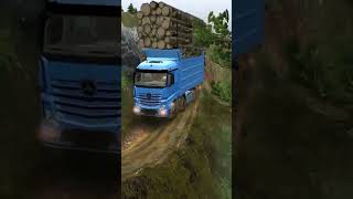 Truck overloaded with wood Truck Dance  Coffin Dance Song Cover [upl. by Allegna]