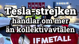 Teslastrejken handlar om mer än kollektivavtalen [upl. by Chill916]