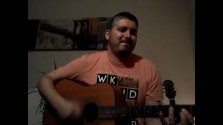 Toute la musique que j’aime  Johnny Hallyday guitar cover [upl. by Owades]