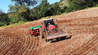 Plantando milho com o MF7719 plantadeira estragou  ROÇAVLOG [upl. by Trela]