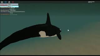 roblox cenozoic survival orca [upl. by Odinevneib]