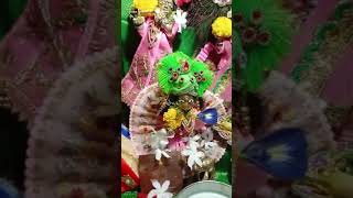 Radharani Ki Jai Maharani Ki Jai radhaashtami shorts ytshorts viral views religion [upl. by Sugar]