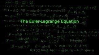 The Euler Lagrange Equation [upl. by Enael604]