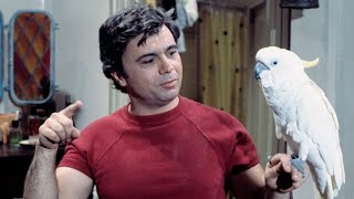 Classic TV Themes BARETTA [upl. by Ahsinod]