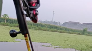 Air naik kita gass casting ikan gabus [upl. by Uzial850]