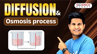 Diffusion and Osmosis process explained neerajsir sciencemagnet [upl. by Dweck272]