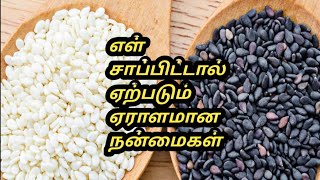 Ellu benefits Tamil  Ellu benefits in tamil  ellu benefits  Tamil Samayal Madurai  health tips [upl. by Cenac]