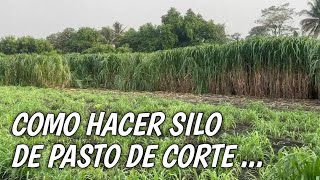 Como hacer silo de pasto de corte  Finca las Flores 🇸🇻 [upl. by Corri]