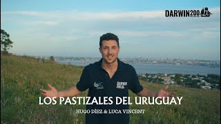 LOS PASTIZALES DEL URUGUAY  DARWIN200 [upl. by Agle]