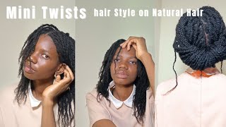 MINI TWISTS ON NATURAL HAIR HOW TO DO PERFECT MINI TWISTS ON NATURAL HAIR [upl. by Annahsed]