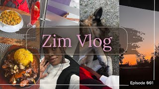 VLOG 13 ZIM VLOG 1 Brunch dates  getting my hair and nails done concert food [upl. by Pearle]