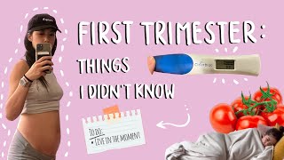 First Trimester  How your body changes  How I found out  Symptoms  Life Lesson [upl. by Alliuqat184]