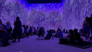 The Van Gogh Immersive Experience Atlanta [upl. by Jaala]