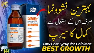 lysovit syrup for hens  lysovit syrup for chicks  best multivitamins for hens calcium in aseel [upl. by Ramraj]