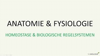 Homeostase en biologische regelsystemen [upl. by Rubie578]