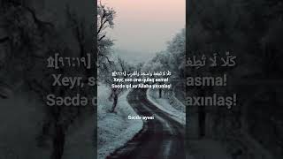 Omar Hisham al Arabi  Ələq surəsi 1719omarhisham abuneol bəyənpaylaş quranayetleri muslum [upl. by Keemahs494]