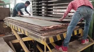 PLYWOOD FACTORY plywood plywood companiAsia No1 ply wood industry [upl. by Anadroj]