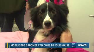 Mobile dog groomer can come to your house [upl. by Arec836]