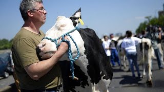 Proteste degli agricoltori blocchi in Polonia e Ungheria contro i prodotti ucraini [upl. by Amer]