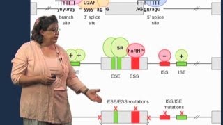 Splicing mutations  Melissa Moore U MassHHMI [upl. by Margareta]