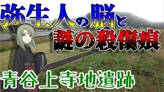 【青谷上寺地遺跡】弥生人の脳と殺傷痕のある人骨が出土した青谷上寺地遺跡in 鳥取 [upl. by Yerg]