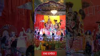 Radha damodar ji Mandir Jaipur shortfeed beenalifestyle bhajan radhakrishna [upl. by Mou]