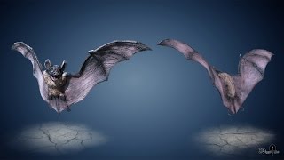 Showreel Vampire DarkBat 3D animated character [upl. by Lenrow]