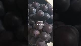 포도 송이 포도 🍇 grape bunch of  brown red evolution [upl. by Ennove]