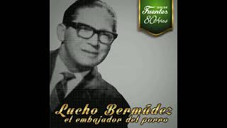 Lucho Bermúdez  Tolú Instrumental [upl. by Nhabois978]