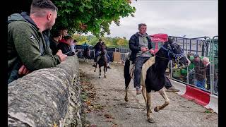 Ballinasloe Horsefair 22 [upl. by Aryl]