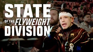 State of the UFC Flyweight Division  July 2023 [upl. by Hinkle]