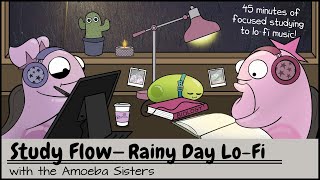 Study Flow Amoeba Sisters Rainy Day Lofi Study Video  45 Minutes [upl. by Marillin491]