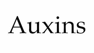 How to Pronounce Auxins [upl. by Eniladam]