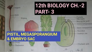 Class 12 biology chapter2 Part3 Pistil megasporangium and embryo sacStudy with FARRU [upl. by Renckens128]