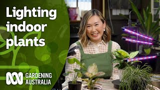 Using Grow Lights for Indoor Plants  Indoor Plants  Gardening Australia [upl. by Octave]